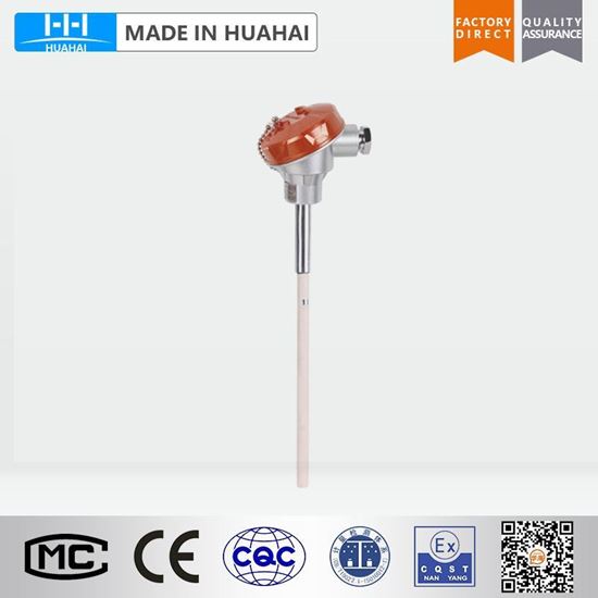Picture of WRP-130 No fixed Platinum/Rhodium thermocouple